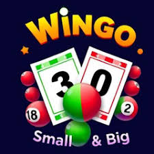 “Win Go on DIUWIN: Spin, Bet, and Win Instantly – Your Fast Track to Big Rewards! ⚡💰”插图 diu win